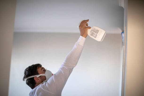 Best Local Mold Removal Service  in Matta, WA