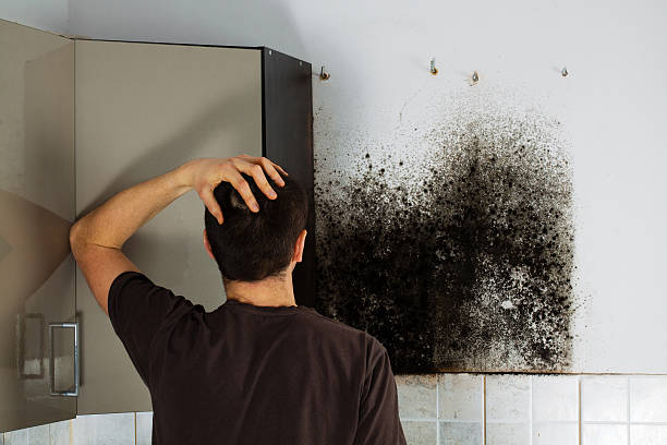Best Residential Mold Removal  in Matta, WA